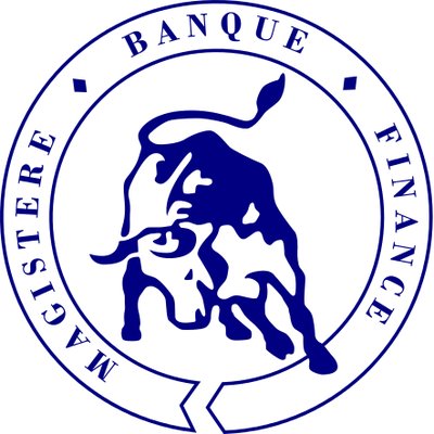 Crypto-monnaies et blockchains
