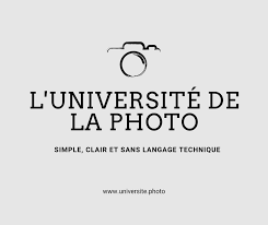 Crypto-Artiste : formation en ligne pour découvrir comment vendre vos photos en NFT