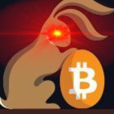 Cours d’expert Bitcoin