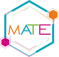 Metaverse Mate